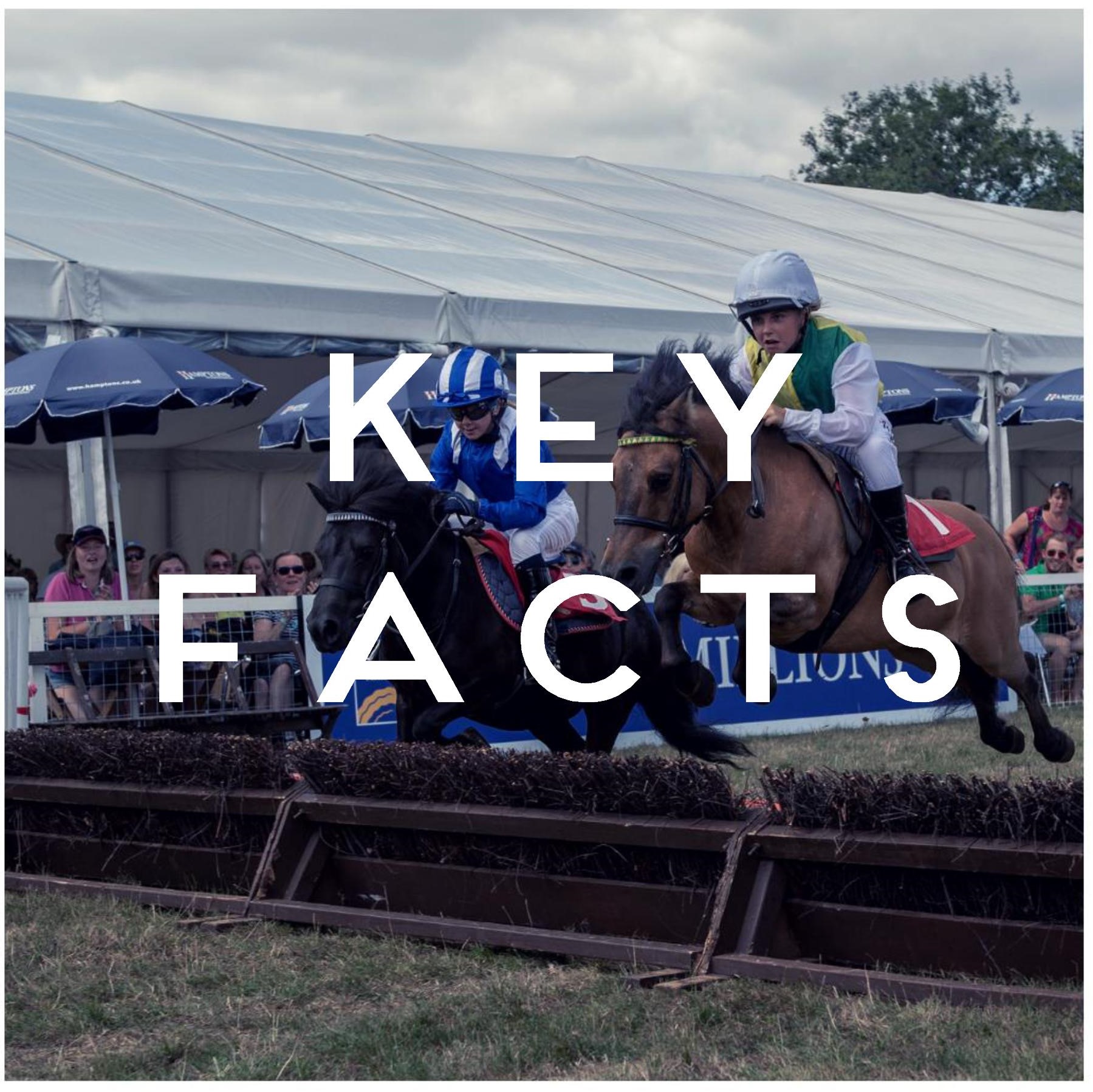 key-facts-image